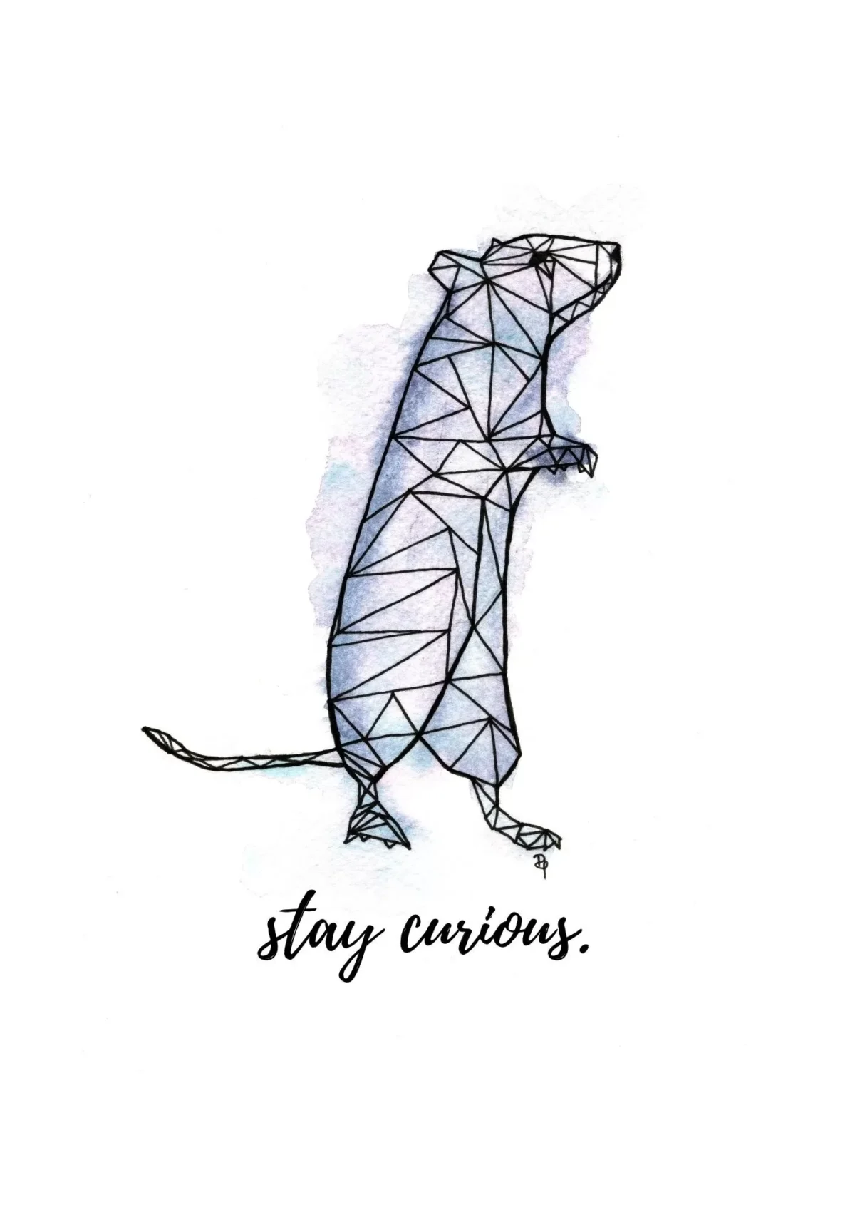 Szczurek z serii "stay" - Którędykolwiek
